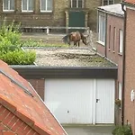 An Der Landgestuet Apartament Warendorf