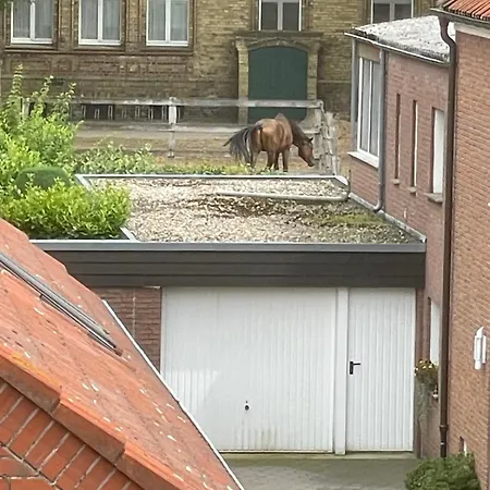 Am Landgestuet Apartman Warendorf
