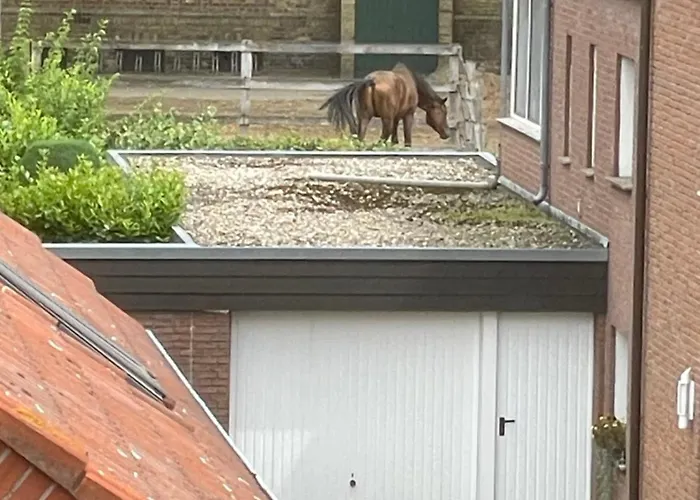 An Der Landgestüt Apartamento Warendorf