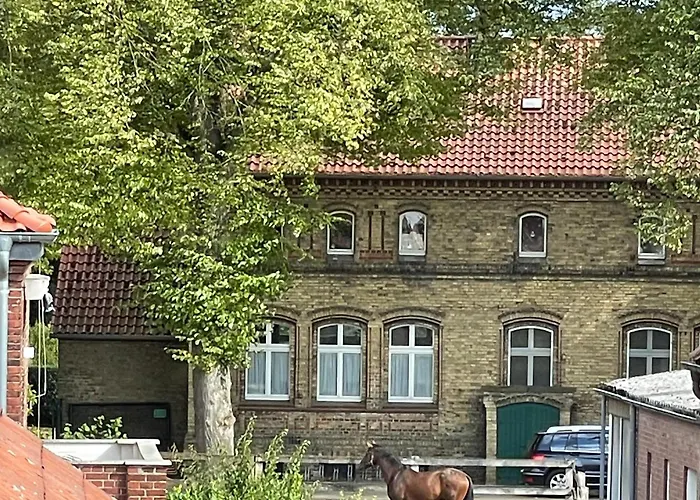 An Der Landgestüt Warendorf